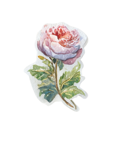 Sticker illustration