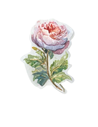 Sticker illustration